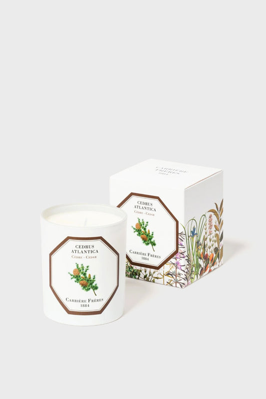 Cedar Candle